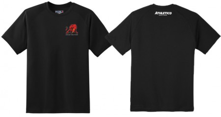 Lions - Youth Dry-Fit T-Shirt