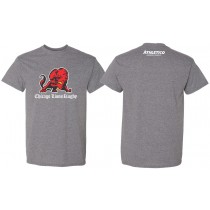 Lions - Adult & Youth T-Shirt
