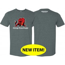 Lions - Adult & Youth Soft T-Shirt