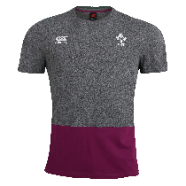 Canterbury Ireland Rugby Color Block Charcoal T-Shirt