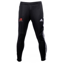 Lions - Adidas Adult & Youth Training Pants