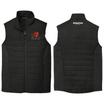 Lions - Insulated Vest